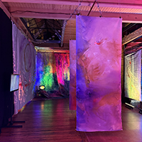 bert leveille installations at starline 4th Fri on the main floor