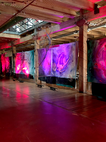 DREAMS installation view at Starline